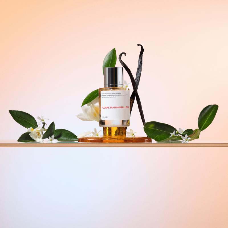 Perfume Collection | Ambery Saffron, Floral Marshmallow, Aquatic Vanilla, Ambery Vanilla & Summer Crush | 50ml  | Vegan Long Lasting Fragrance